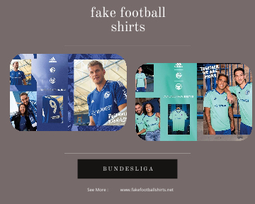 fake Schalke 04 football shirts 23-24